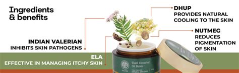 AVP Eladi Coconut Oil Balm 40g Ayurvedic Moisturizer for Dry Skin ...