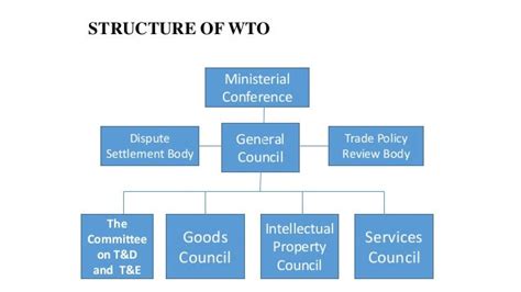 Features of WTO 的图像结果