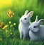 Image result for Cute Fluffy Bunnies