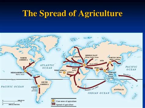 Civilization 的图像结果