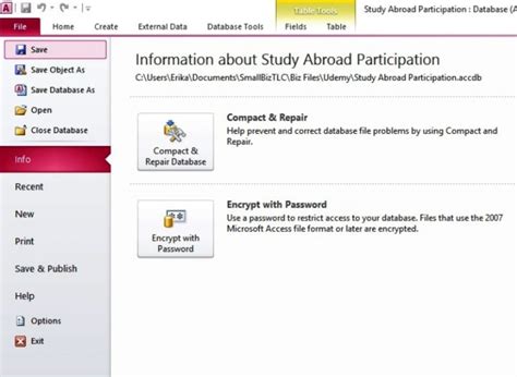 Image result for Access Tutorial 4