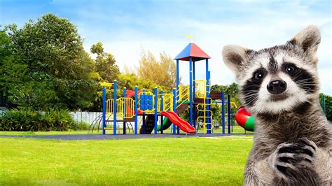 New York State Standards