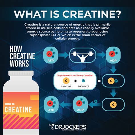 How Is Creatine Made