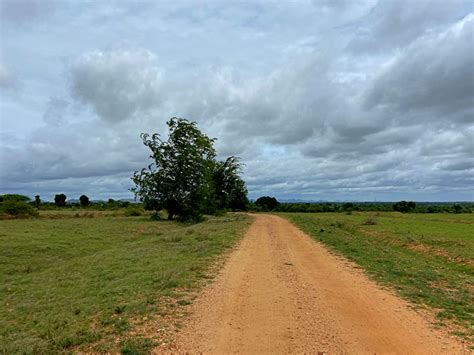 Oxygen ★ Sabyasachi - A Progressive Thought