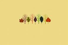 Aesthetic Artsy Fall Iphone Wallpaper by Freebie Fall Desktop Wallpaper A U T U M N Laptop Aesthetic Artsy Fall Iphone Wallpaper