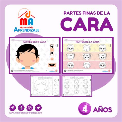 Las Partes de la Cara: Ficha Imprimible para Niños de 4 Años | Material ...