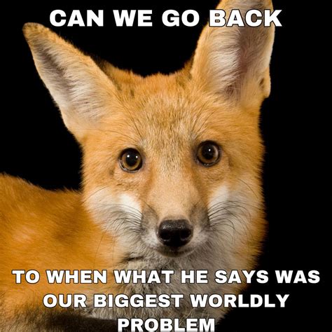 What does the fox say – Artofit