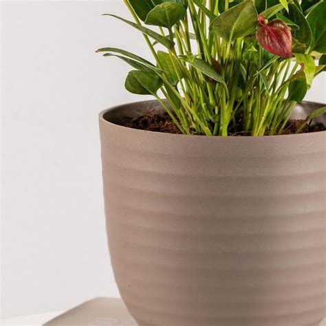 Buy NURTURING GREEN Wave Brown Textured Polypropylene Floor Planter ...
