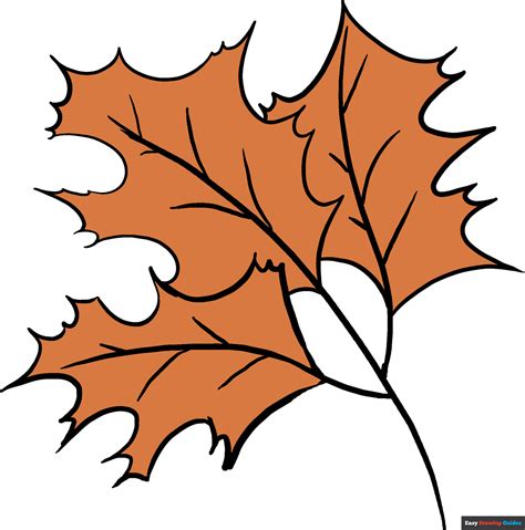 Fall Leaves Drawing