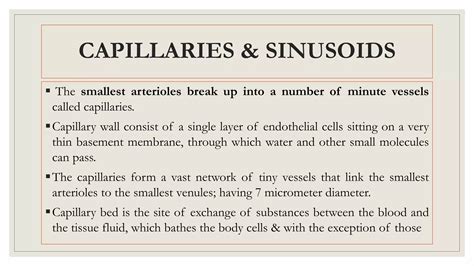 arteries, arterioles, veins, venules, capillary and fluid or gaseous ...