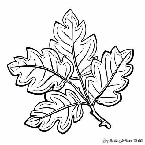 Leaf Coloring Pages - Free & Printable!