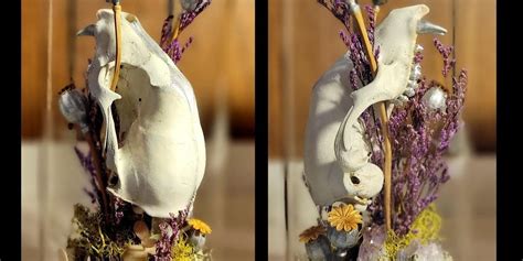 Skull Terrarium Workshop with Wendi Kai, 653 West Centennial Boulevard ...