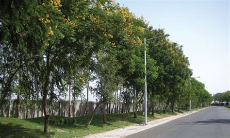 Our Institutional and Industrial Projects - Green Gold Garden & Agro ...