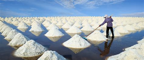 Tradeserv Business Services