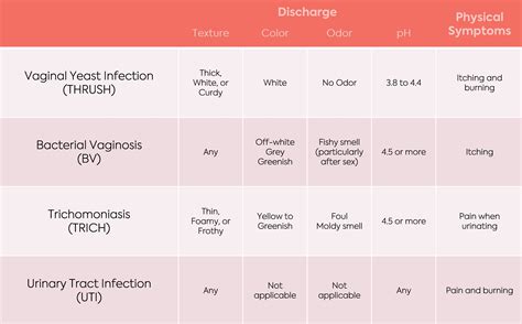 Is it a Yeast Infection, BV, Trich, or UTI? Know the Difference
