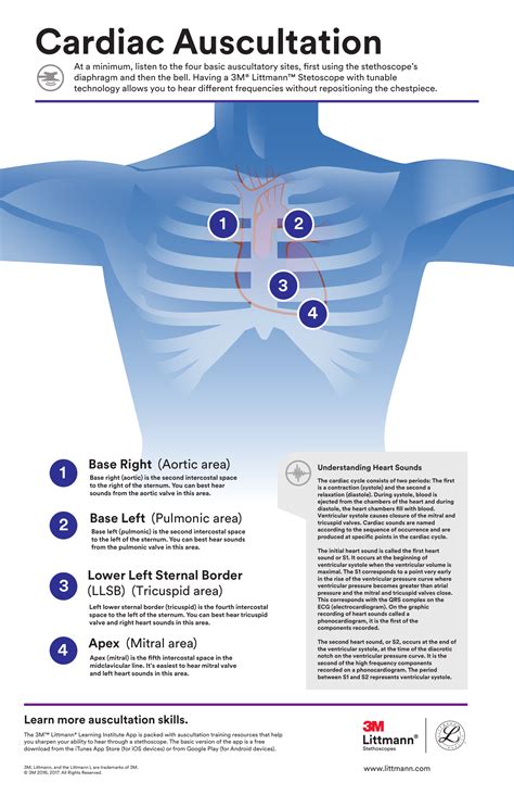 Cardiac Auscultation