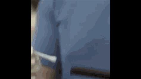 Image result for Exploding Alligator GIF