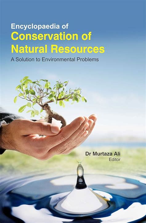 Conservation 的图像结果