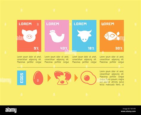 Normal Diet 的图像结果