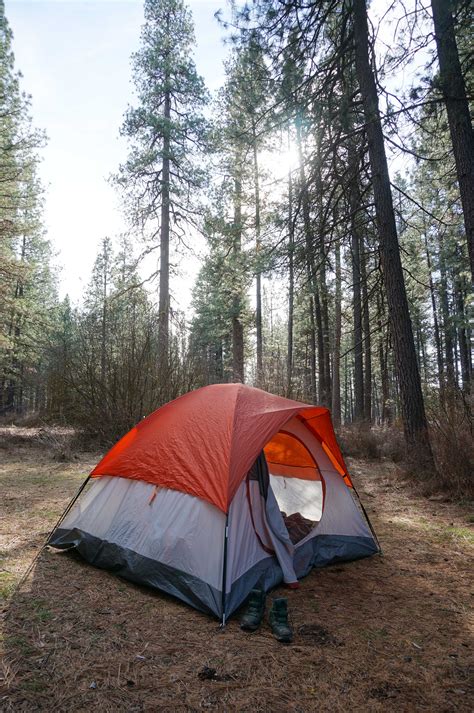 Elk Lake Campground in Deschutes National Forest, Oregon: Reviews and ...