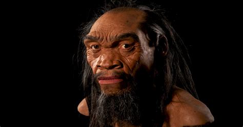 Scientists have reconstructed the face of a human ancestor that rewrites the history of our ...