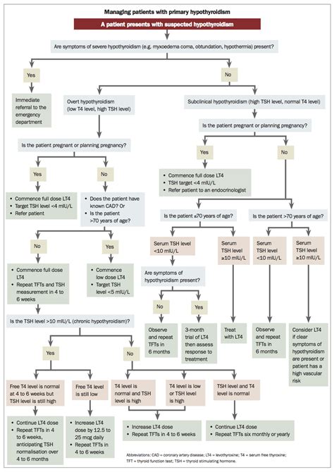 Image result for Hypothyroidism Treatment Algorithm