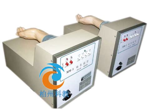脉象模型(4台/套)_上海柏教医学仪器制造厂