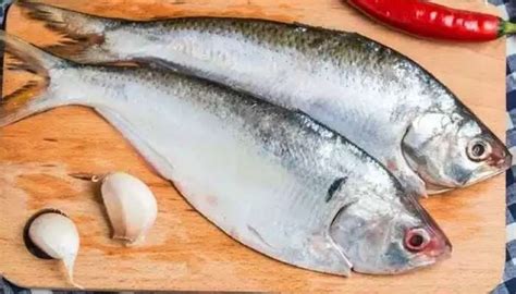 Eating fish has many health benefits | Health Care: ಮೀನು ತಿನ್ನುವುದರಿಂದ ...