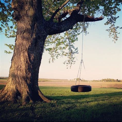 Tire Swing #summer | Tire swing, Big tree, Backyard