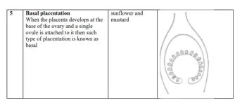 NCERT Solutions for Class 11 Biology chapter 5 Morphology of Flowering ...
