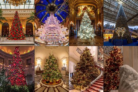 Unveiling the Magic: Festival of Trees 2026!