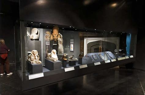 Musaeum 的图像结果