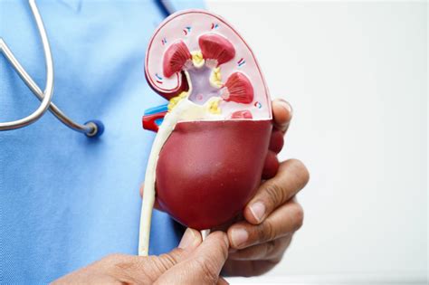 How Tirzepatide Affects the Kidneys: A Comprehensive Guide for Patients and Clinicians - Bmi Doctors