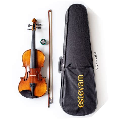 Violin: Buy Best Acoustic Electric Violins Online