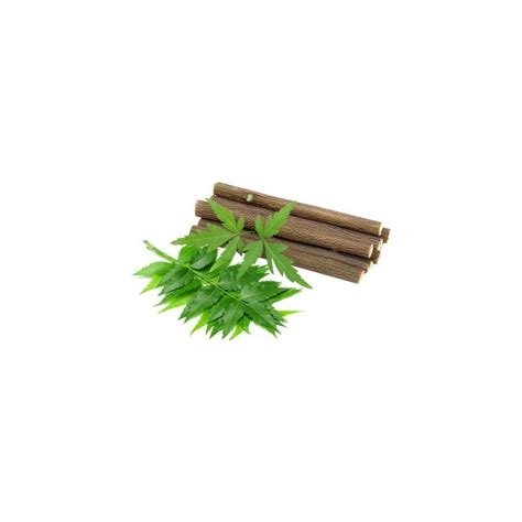 Buy 15 Chewing Sticks Of NEEM DATUN ORAL HERBAL TEETH & TONGUE CLEANER ...
