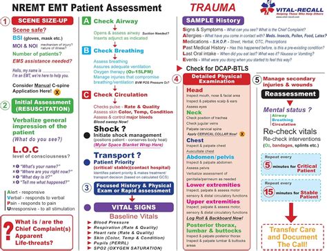 Amazon.com: EMT Assessment Trauma and Medical Training Sheets (50 ...