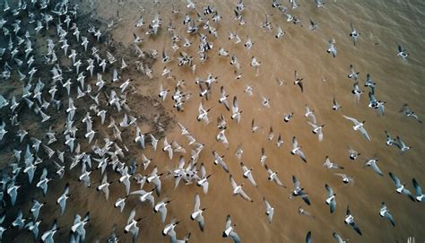Aerial Photography Using Drones 的图像结果