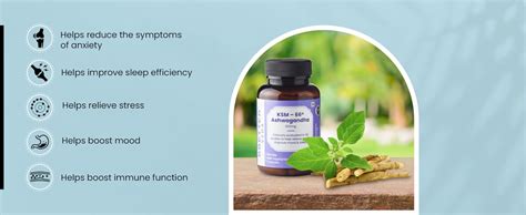 BBETTER Ashwagandha KSM 66 Capsules 600mg, Ashwagandha Tablet For ...