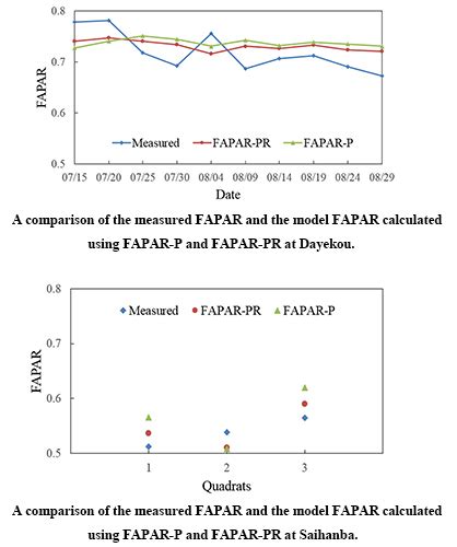 Study of the Remote Sensing Model of FAPAR over Rugged Terrains