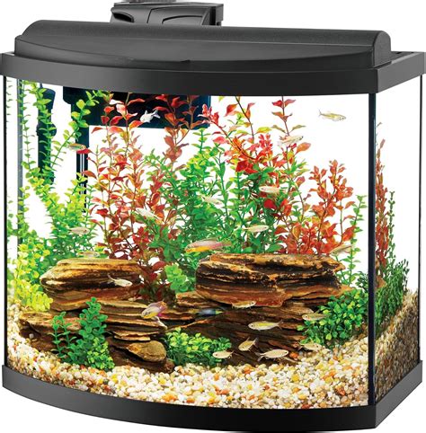The 5 Best Bow Front Aquariums (Reviews & Buying Guide 2024)
