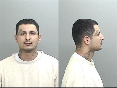 Mendocino Sheriff's Department Booking Logs - Brattle Book Shop