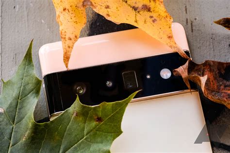 Pixel 6 Pro Camera Sensor 的图像结果