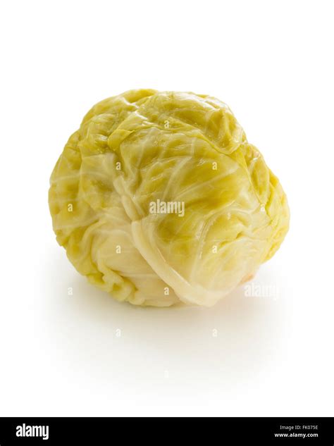 Sour Cabbage Head - Rutrend