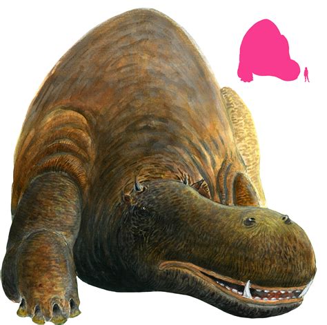 Behemoth Bible What Does The Bible Say About Dinosaurs?