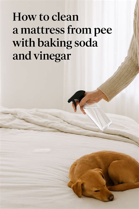 How To Clean Mattress Pee