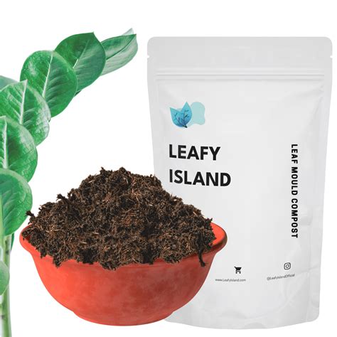 Plant Leaves Mould Compost 1.0 Kg/ 2.5 Kg/4 Kg - Organic Fertilizer ...