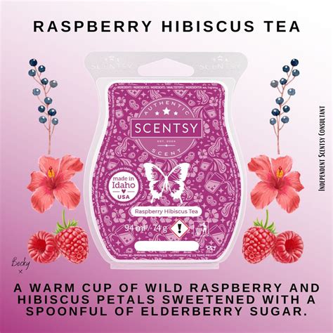 Raspberry Hibiscus Tea Scentsy Bar - The Candle Boutique - Scentsy UK ...