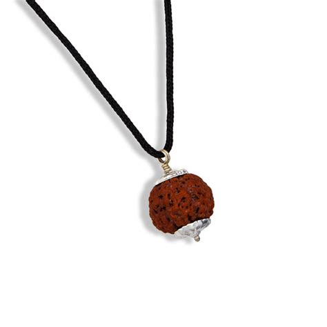 Giri - Rudraksha Pendant 5 Face | Best Rudraksha | Rudraksha Seeds ...
