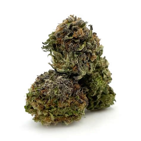 Buy Purple Diesel Online In Canada - Pacific Grass