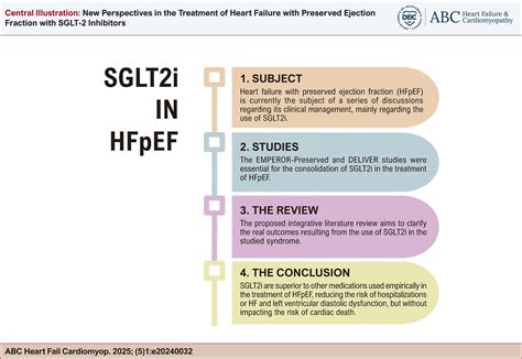 New Perspectives in the Treatment of Heart Failure with Preserved Ejection Fraction with SGLT-2 ...